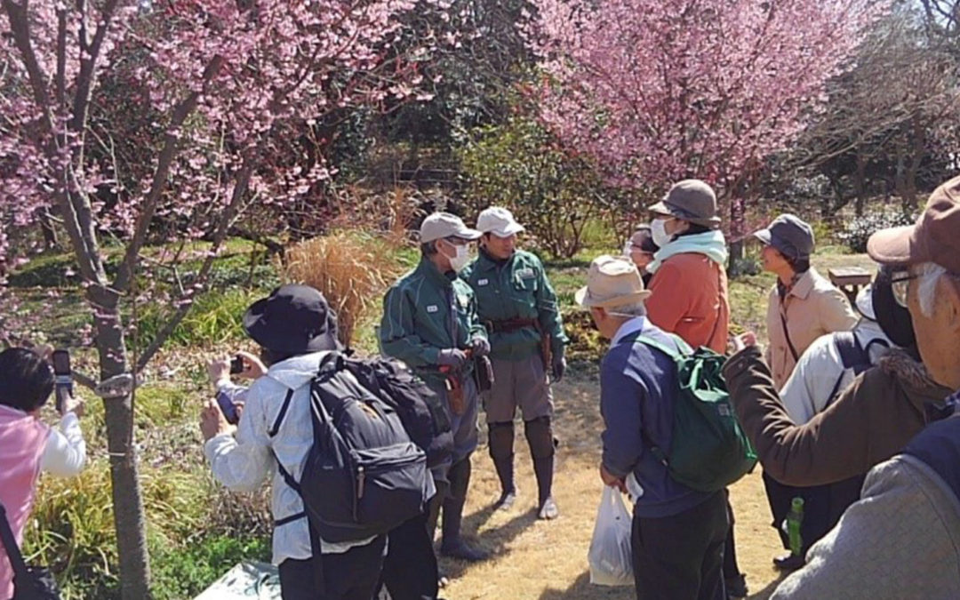健康ハイキング（中級・散策編）第1５回　３/12（火）　早春の俣野別邸庭園を愛でる！