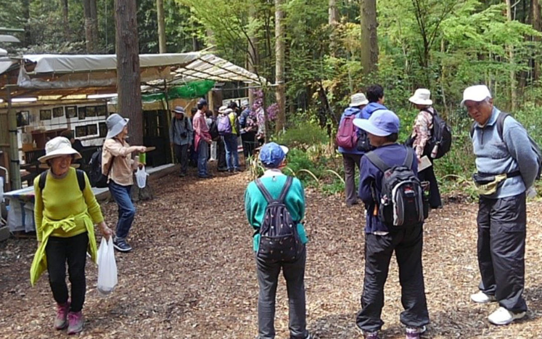 健康ハイキング第16 回（初級）：4/15（月）　春の「遠藤まほろばの里」で山野草を愛でる！